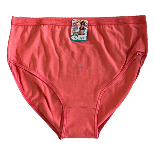 6 Piezas Pantaleta Bikini Algodón Dama Chavez 1028