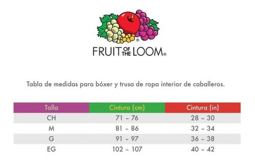 Fruit Of The Loom Boxer Color Surt 4 Pack Cab Mod 4el46l